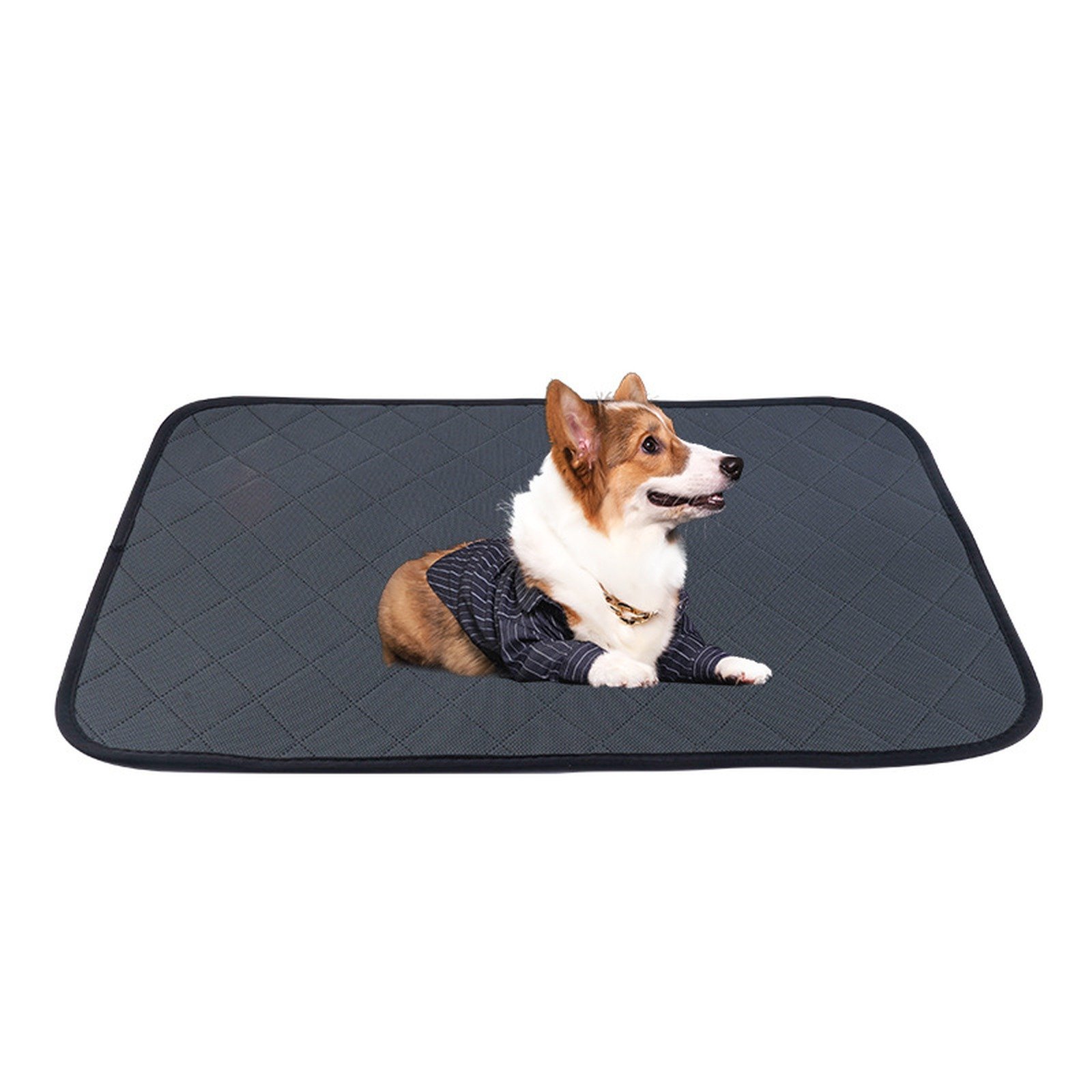 Washable Leak-Guard Dog Pad